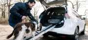 NISSAN’DAN KÖPEK DOSTU AİLELERE ÖZEL X-TRAIL