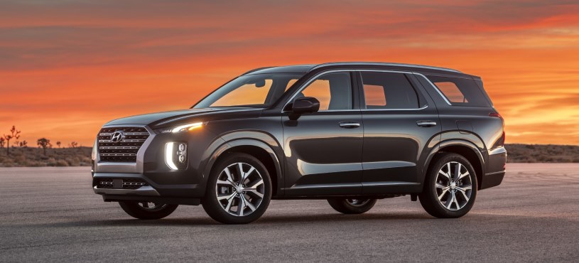 HYUNDAI PALISADE ÖRTÜSÜNÜ AÇTI